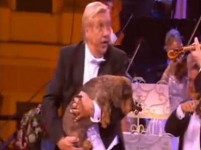 Wenn ich mit meinem Dackel