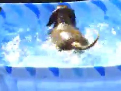 Cris in swimming pool